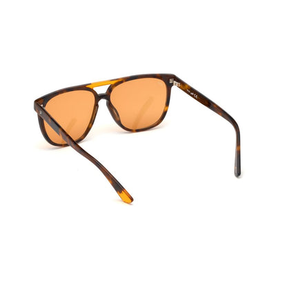 WEB EYEWEAR Brown Plastic Sunglasses