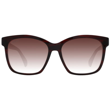 Max Mara Burgundy Plastic Sunglasses