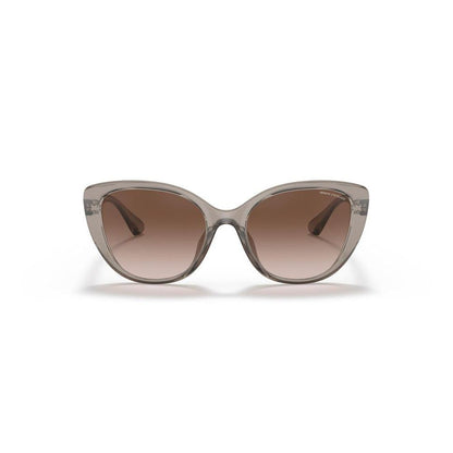Armani Exchange Brown Injected Sunglasses