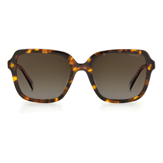 Polaroid Brown Acetate Sunglasses