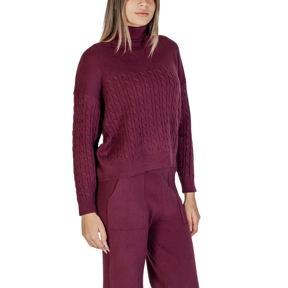 Cleré Bordeaux Viscose Turtleneck